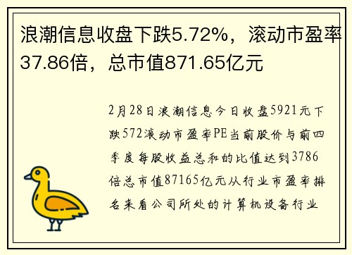 浪潮信息收盘下跌5.72%，滚动市盈率37.86倍，总市值871.65亿元