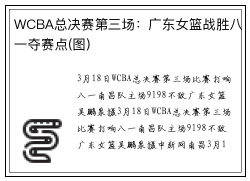WCBA总决赛第三场：广东女篮战胜八一夺赛点(图)